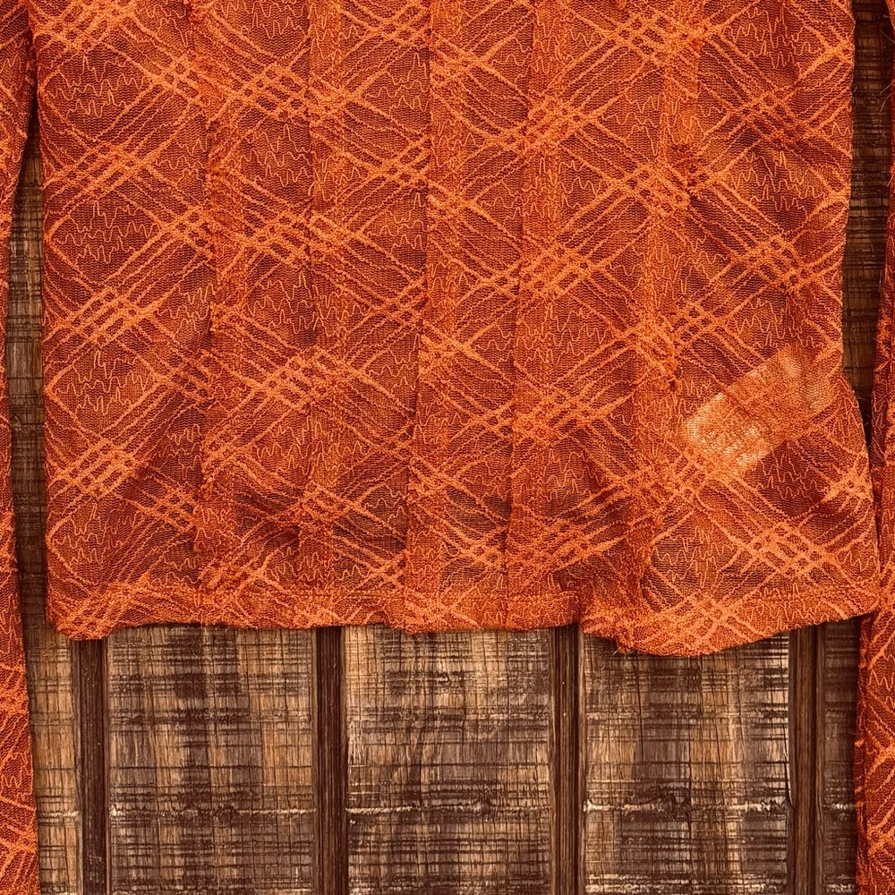 Free People Burnt Orange Mesh Bell Long Sleeve Blouse - Picture 7 of 14